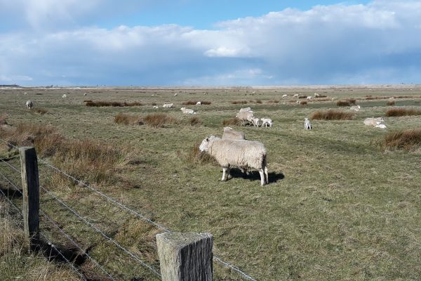 Umfeld 012